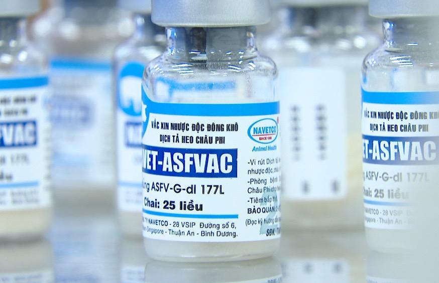 雙語新聞--越南是首個國家量產上市非洲豬瘟疫苗Việt Nam là quốc gia đầu tiên sản xuất thương mại thành công vắc-xin dịch tả lợn châu Phi